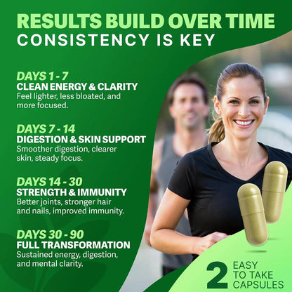 Moringa Capsules – Natural Cortisol Support To Help Restore Balance Inside and Out*