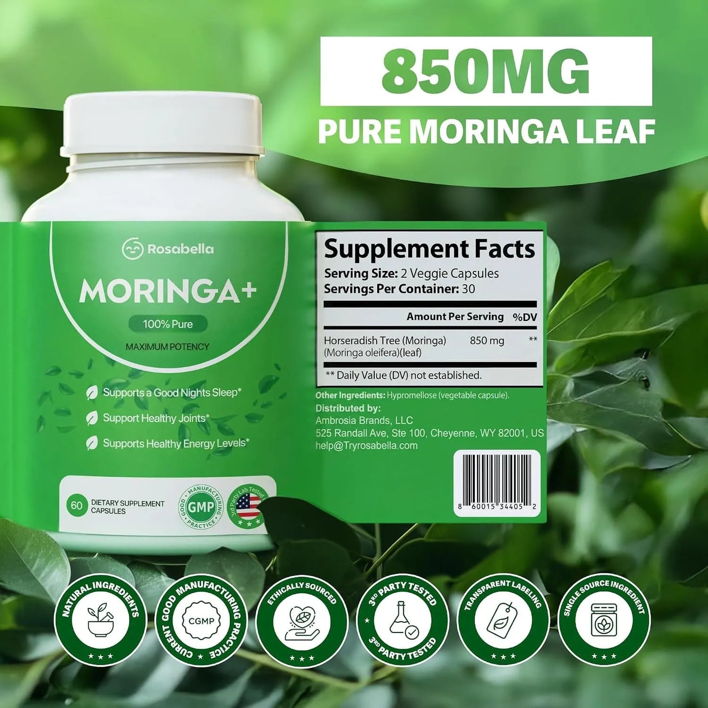 Moringa Capsules – Natural Cortisol Support To Help Restore Balance Inside and Out*